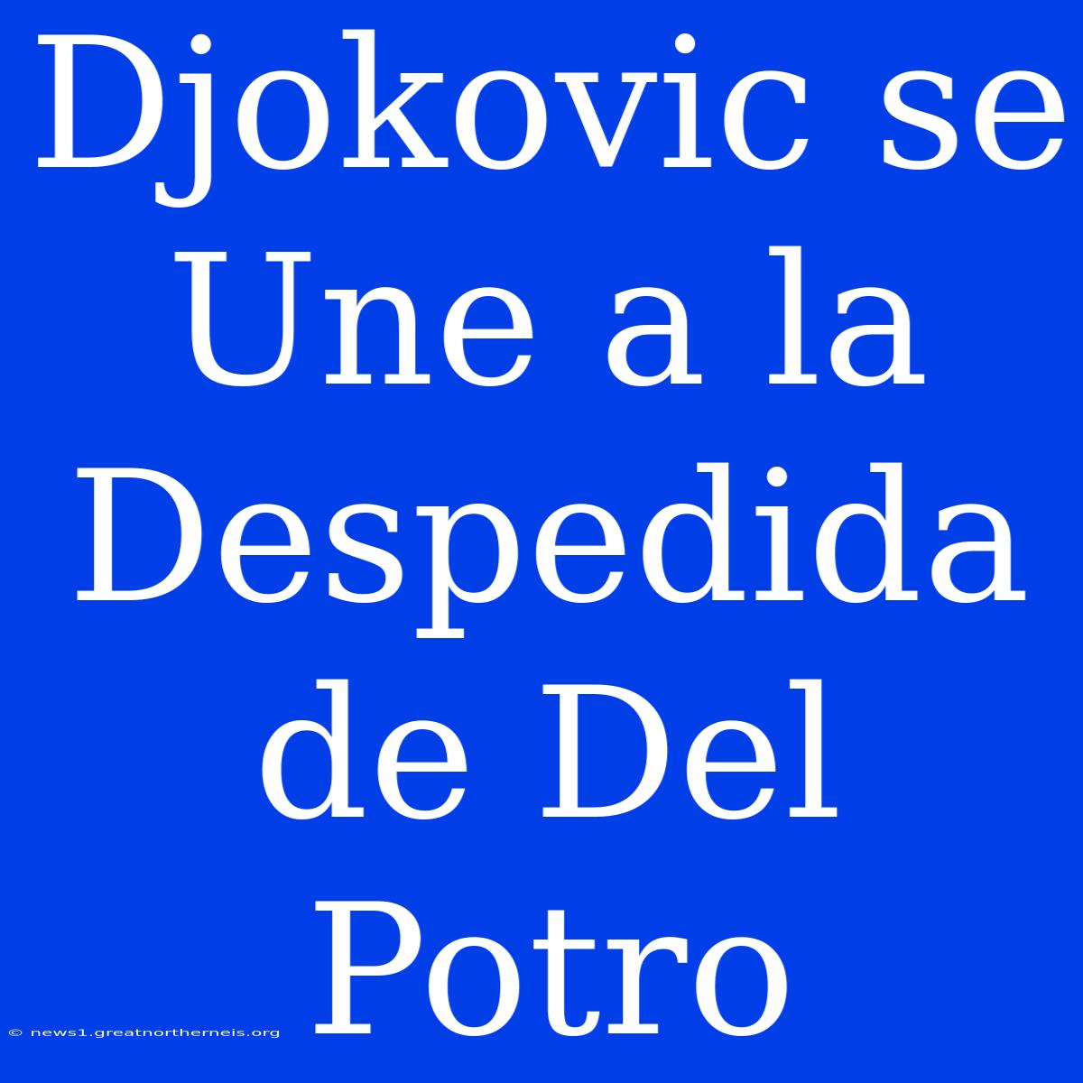 Djokovic Se Une A La Despedida De Del Potro