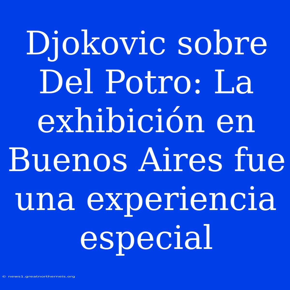 Djokovic Sobre Del Potro: La Exhibición En Buenos Aires Fue Una Experiencia Especial