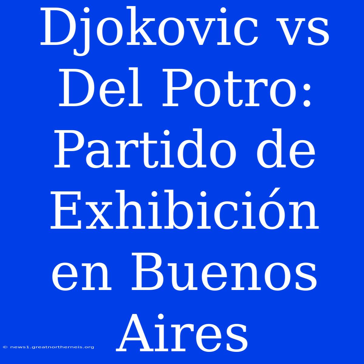 Djokovic Vs Del Potro: Partido De Exhibición En Buenos Aires