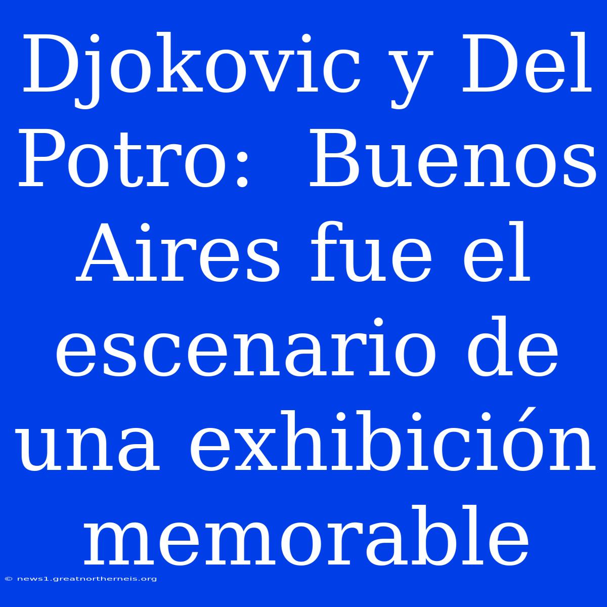 Djokovic Y Del Potro:  Buenos Aires Fue El Escenario De Una Exhibición Memorable