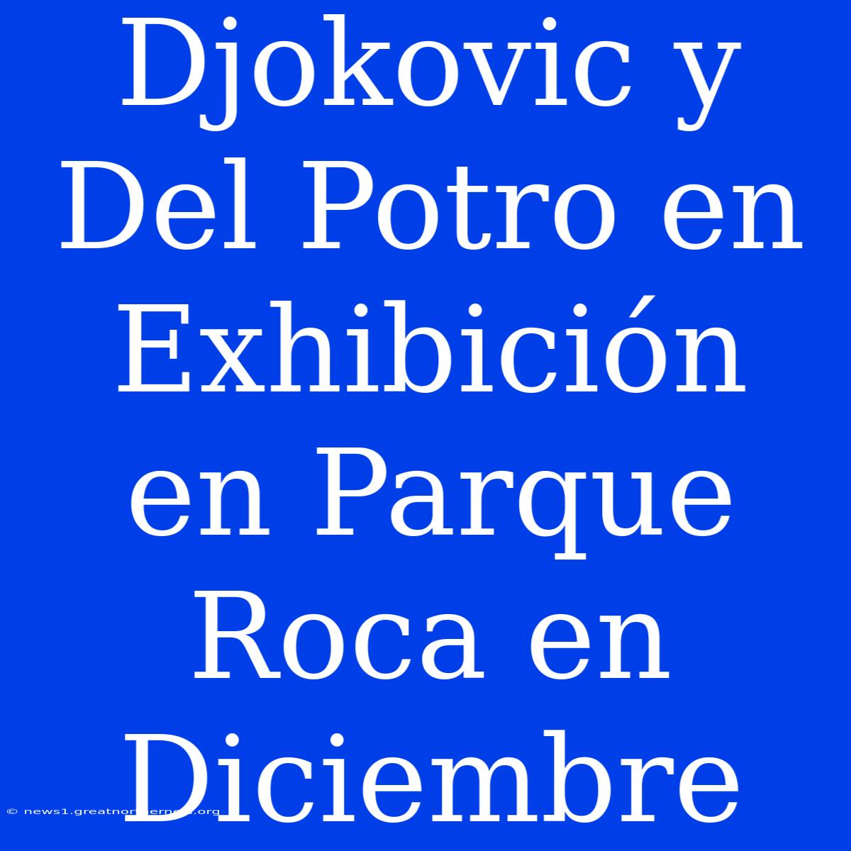 Djokovic Y Del Potro En Exhibición En Parque Roca En Diciembre