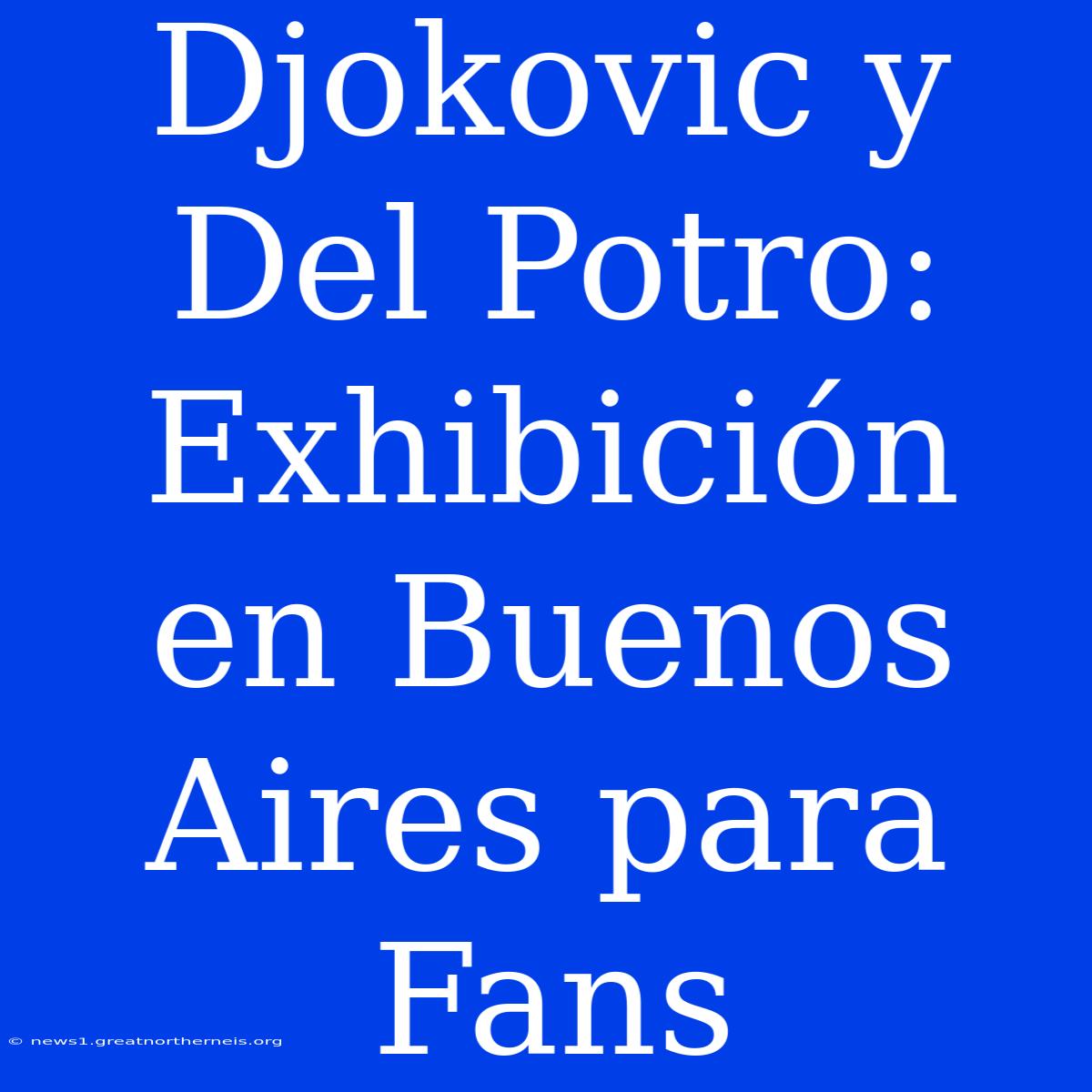 Djokovic Y Del Potro: Exhibición En Buenos Aires Para Fans