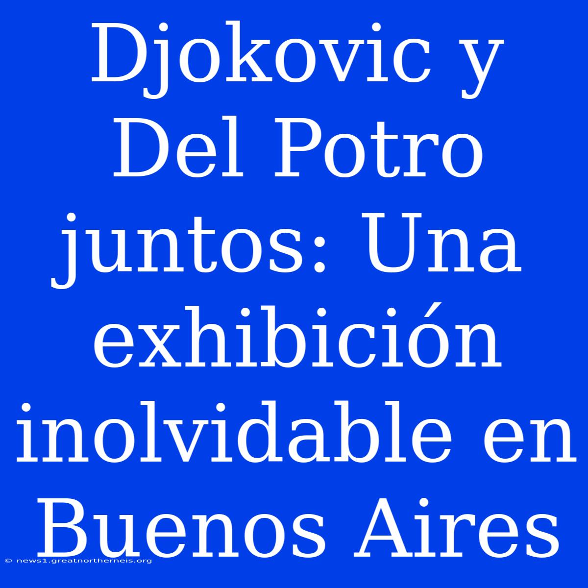 Djokovic Y Del Potro Juntos: Una Exhibición Inolvidable En Buenos Aires