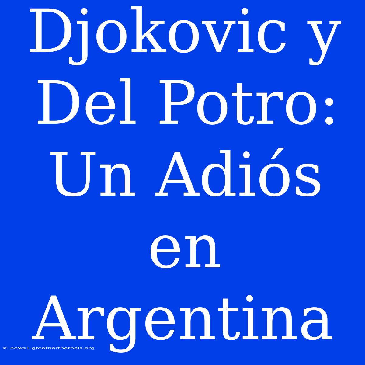 Djokovic Y Del Potro: Un Adiós En Argentina