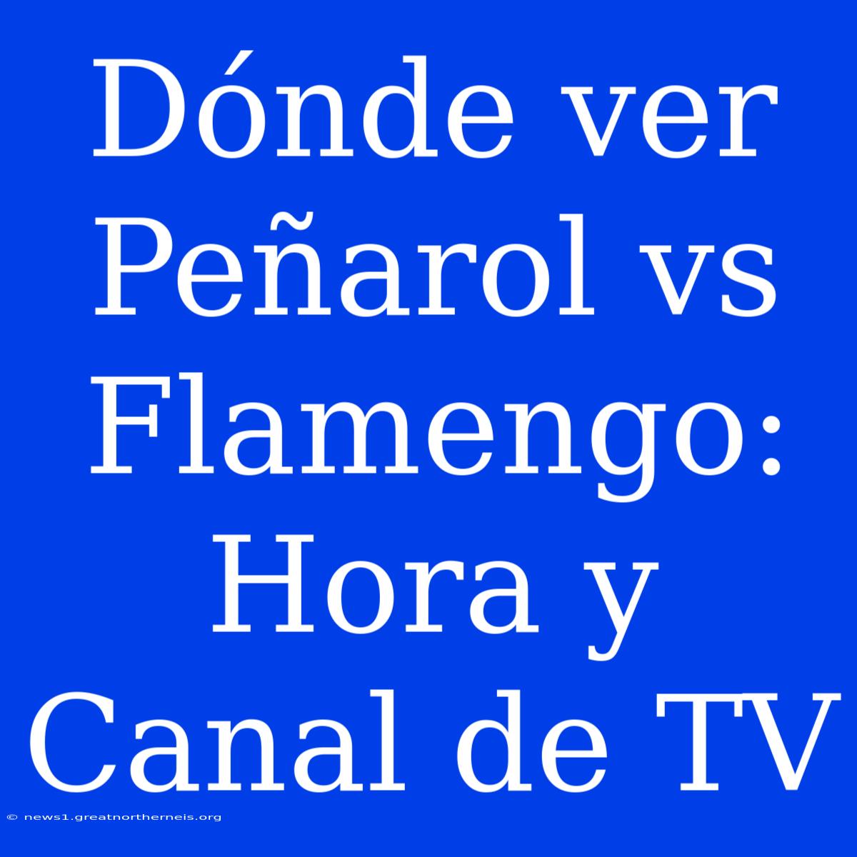 Dónde Ver Peñarol Vs Flamengo: Hora Y Canal De TV