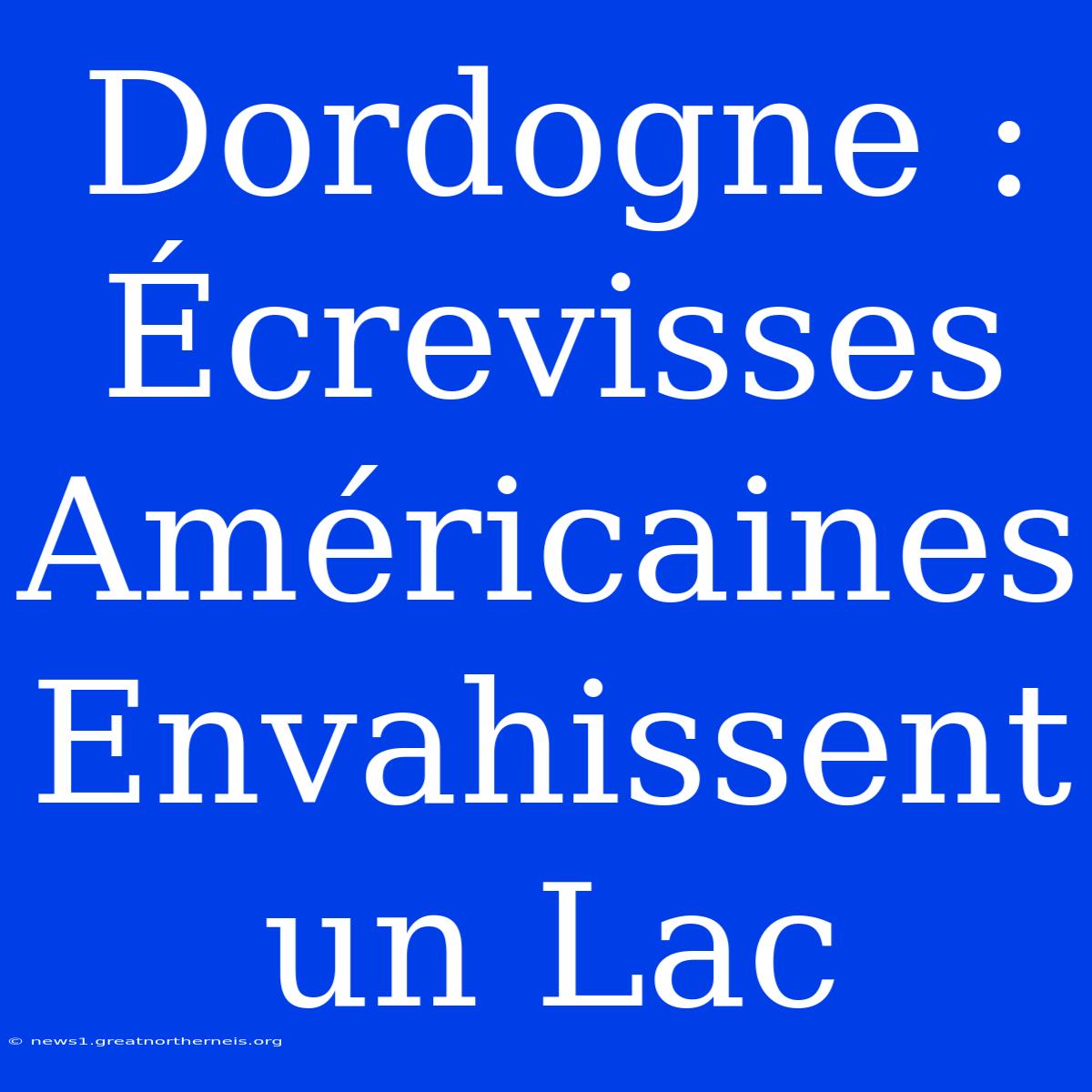 Dordogne : Écrevisses Américaines Envahissent Un Lac