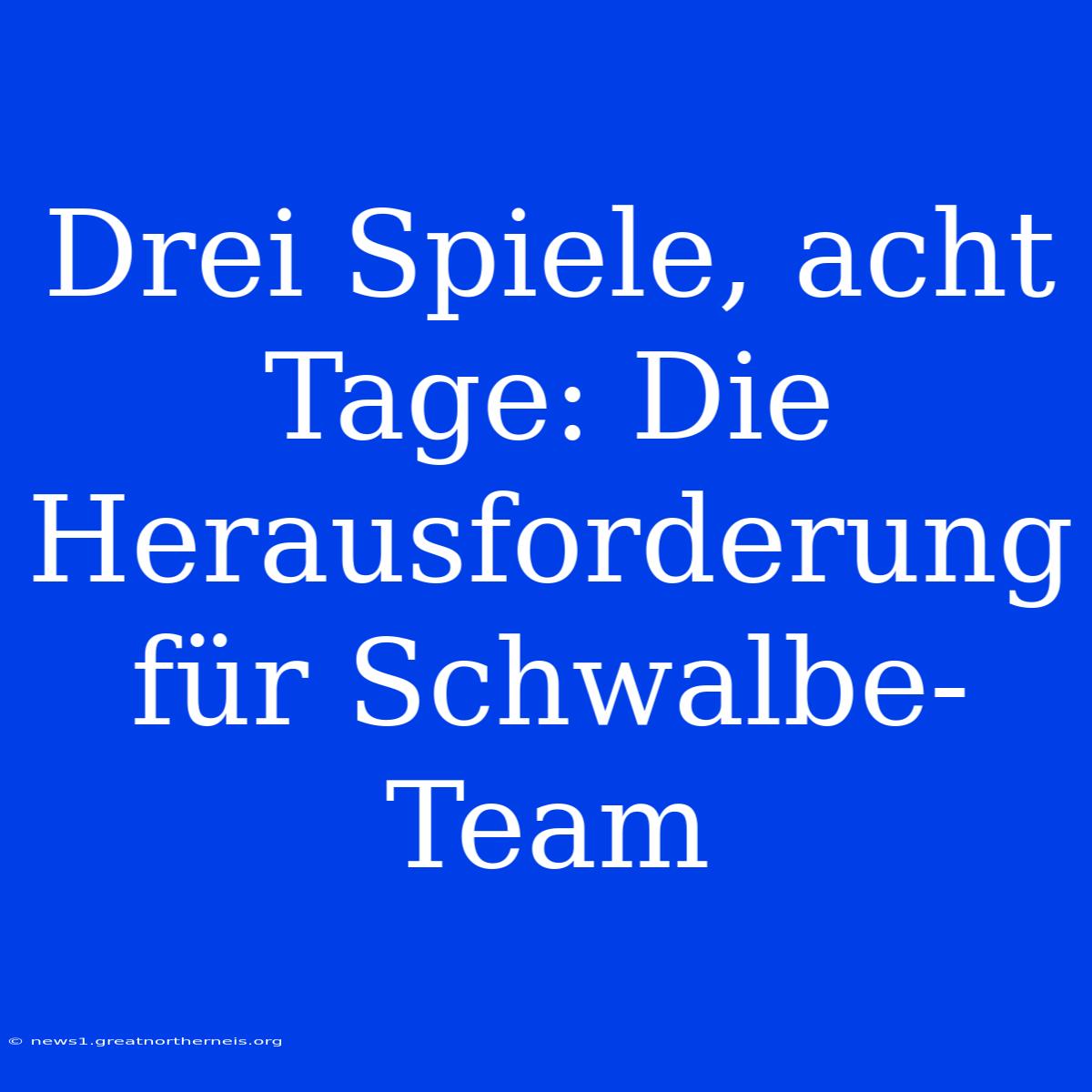 Drei Spiele, Acht Tage: Die Herausforderung Für Schwalbe-Team