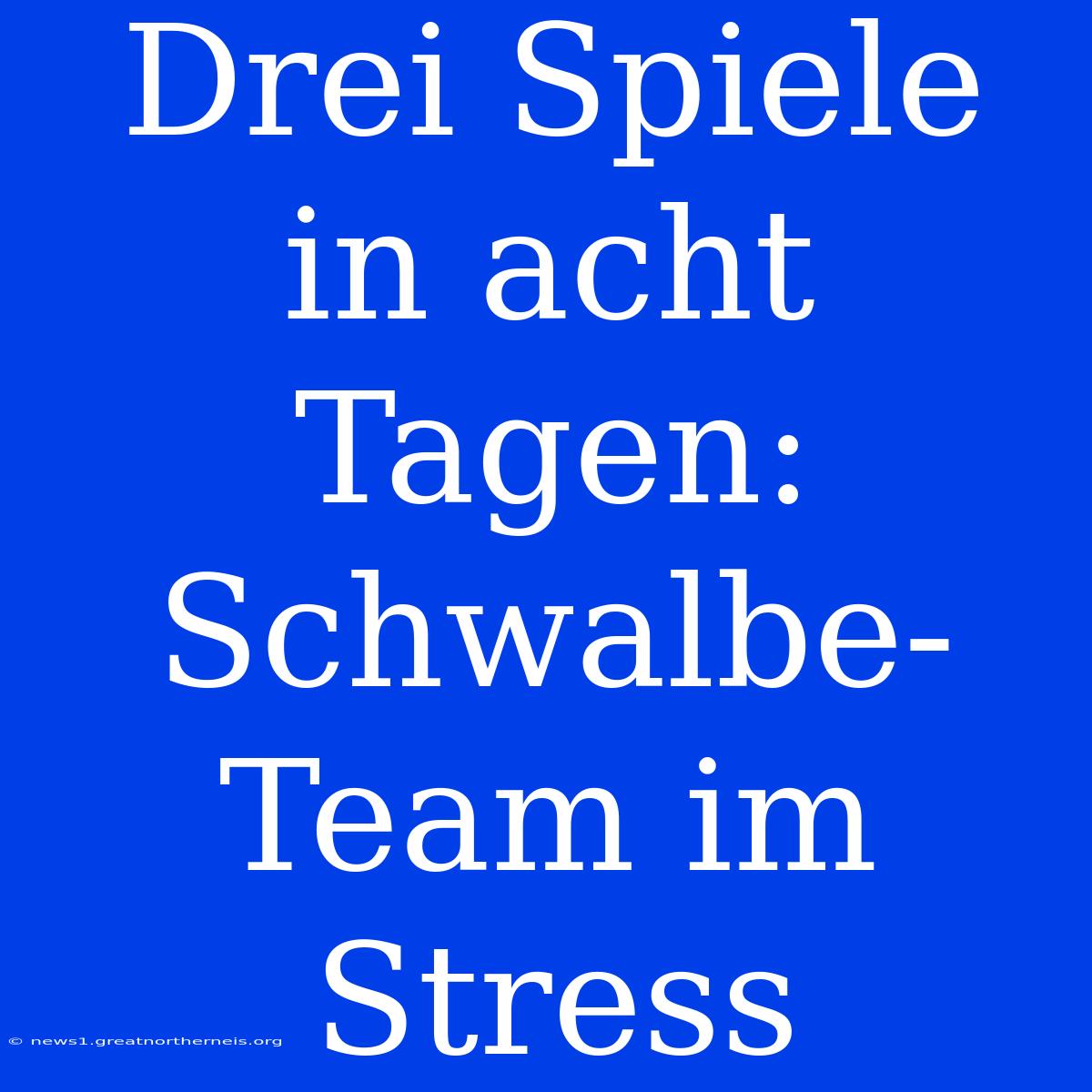 Drei Spiele In Acht Tagen: Schwalbe-Team Im Stress