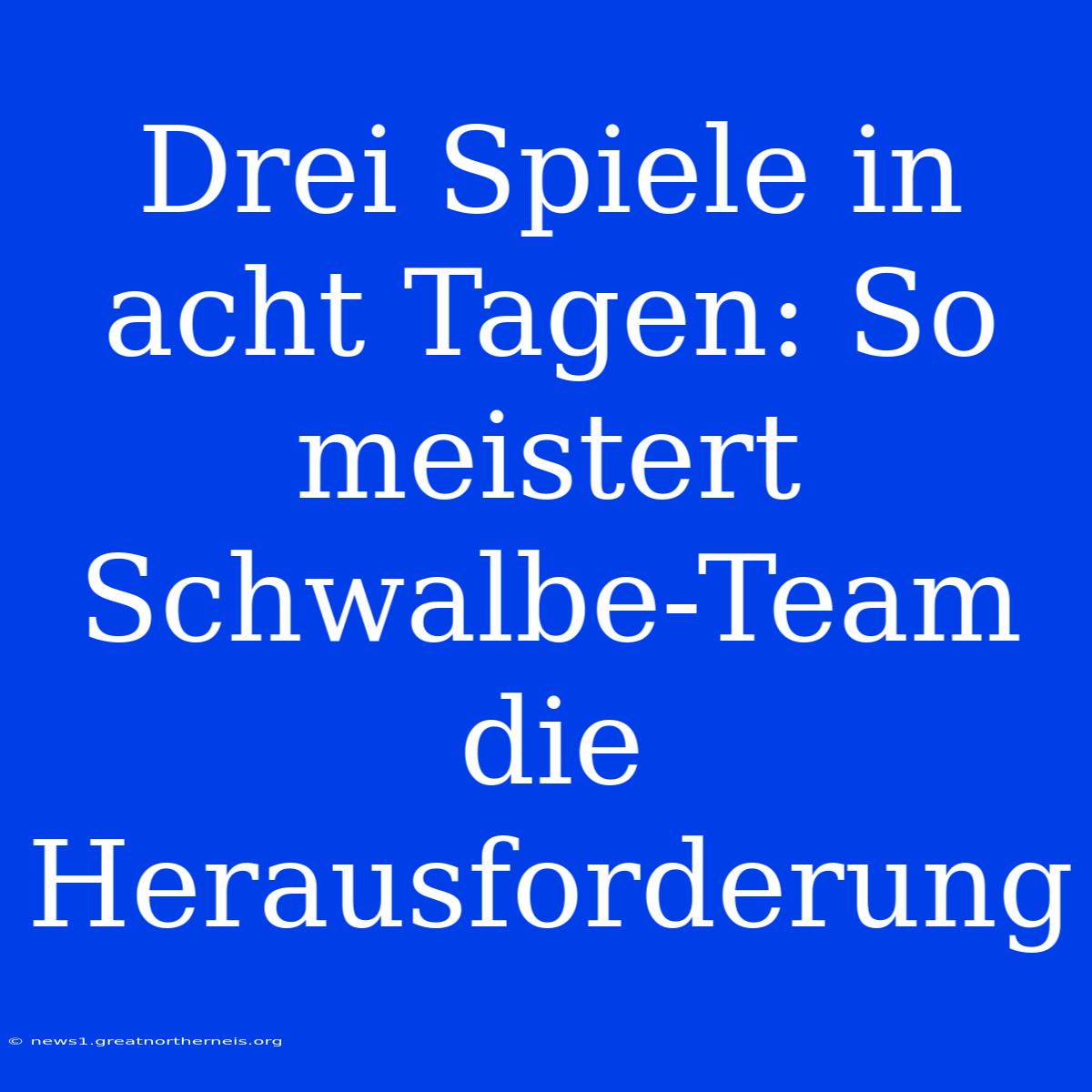 Drei Spiele In Acht Tagen: So Meistert Schwalbe-Team Die Herausforderung