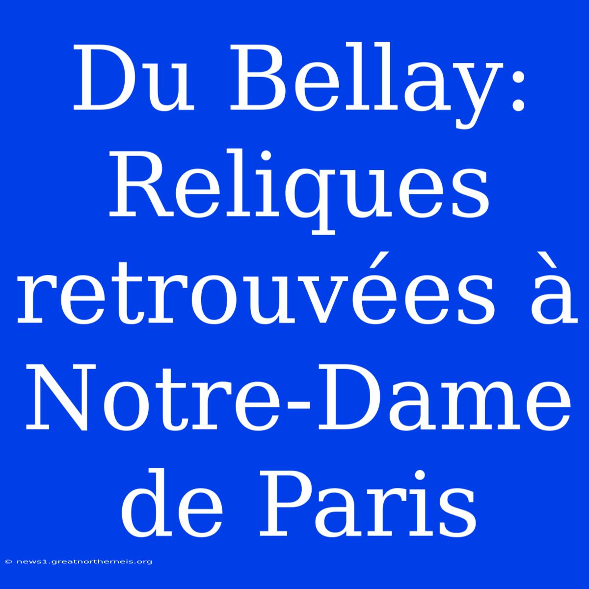 Du Bellay: Reliques Retrouvées À Notre-Dame De Paris