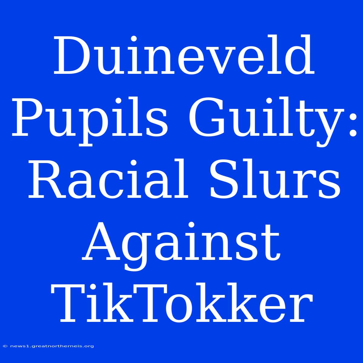 Duineveld Pupils Guilty: Racial Slurs Against TikTokker