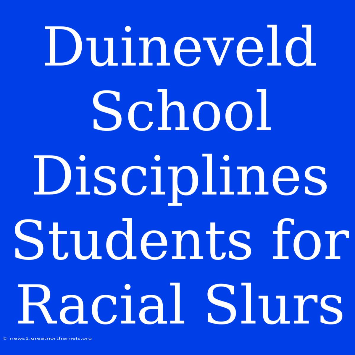 Duineveld School Disciplines Students For Racial Slurs