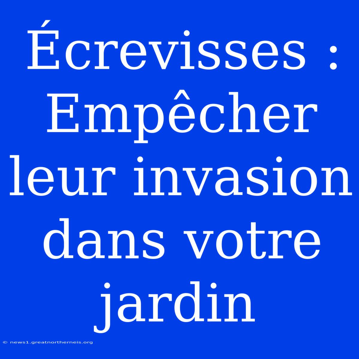 Écrevisses : Empêcher Leur Invasion Dans Votre Jardin