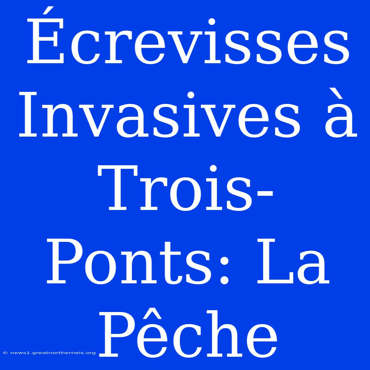 Écrevisses Invasives À Trois-Ponts: La Pêche