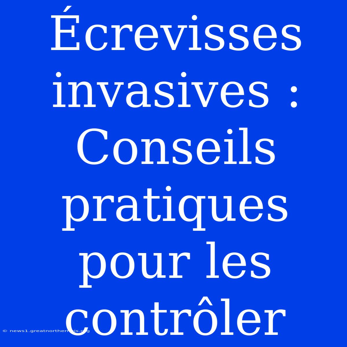 Écrevisses Invasives : Conseils Pratiques Pour Les Contrôler