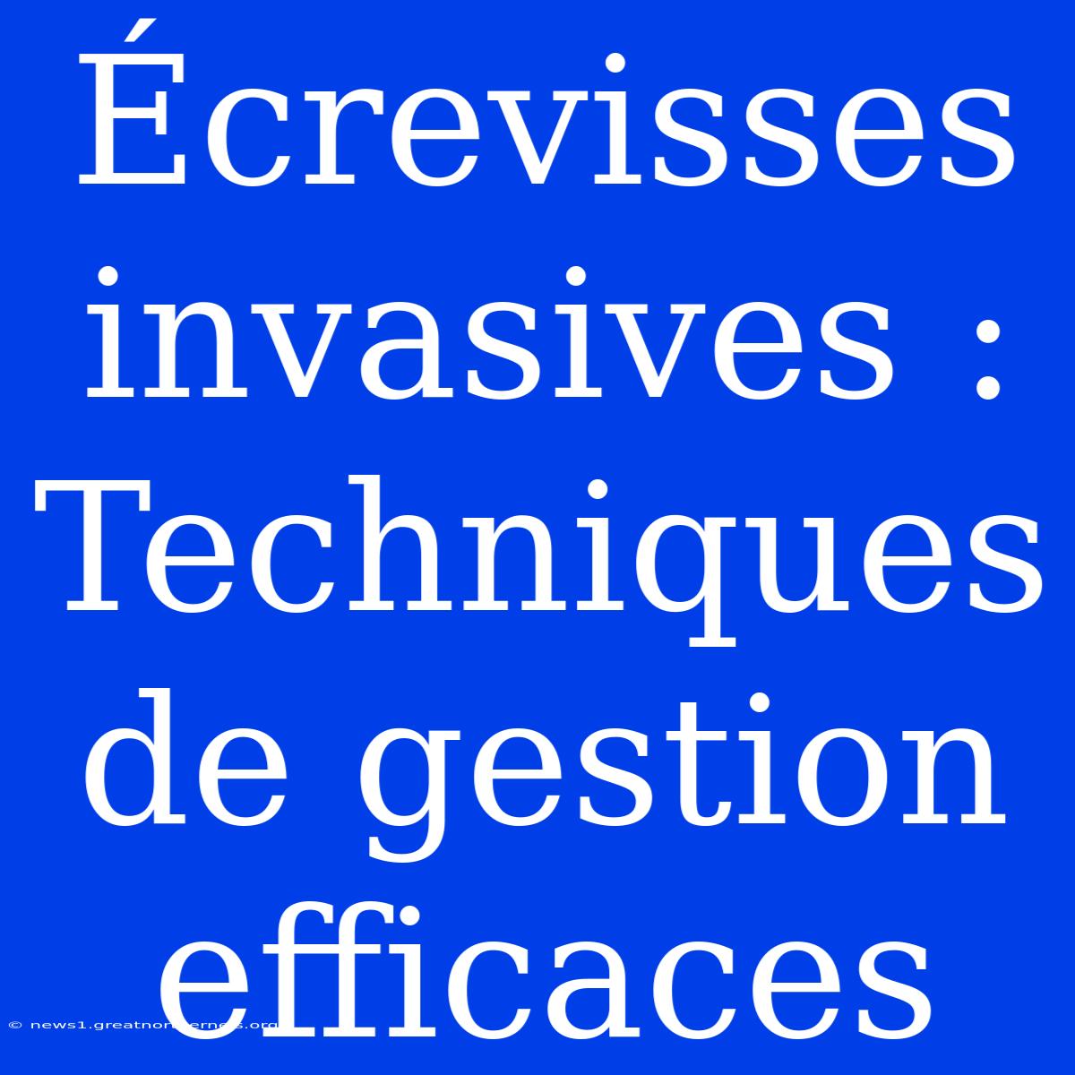 Écrevisses Invasives : Techniques De Gestion Efficaces