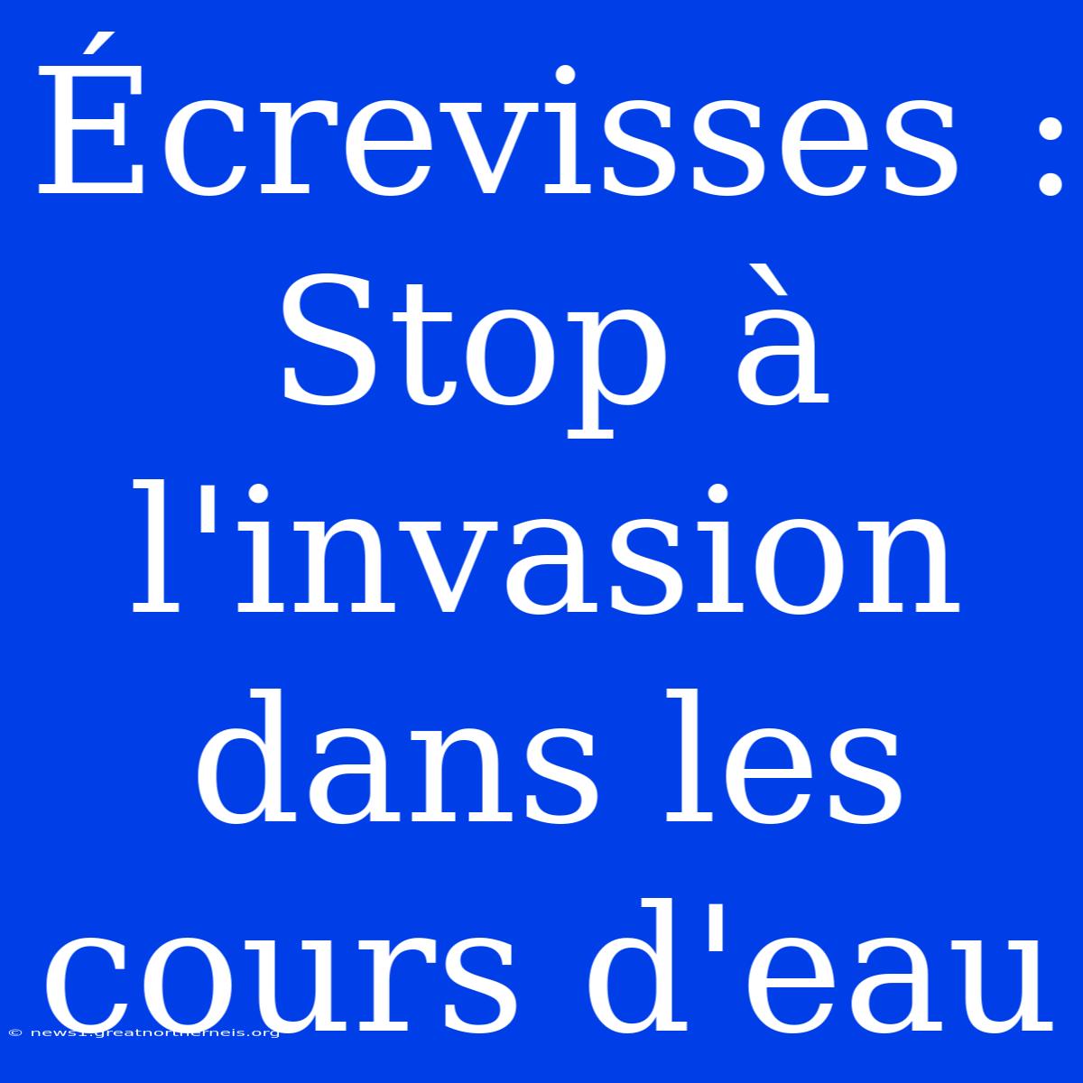 Écrevisses : Stop À L'invasion Dans Les Cours D'eau