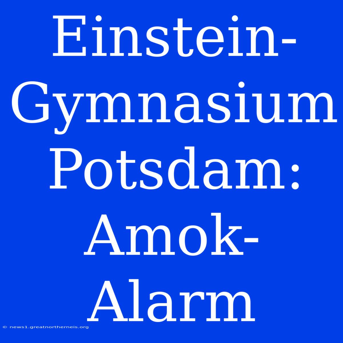 Einstein-Gymnasium Potsdam: Amok-Alarm