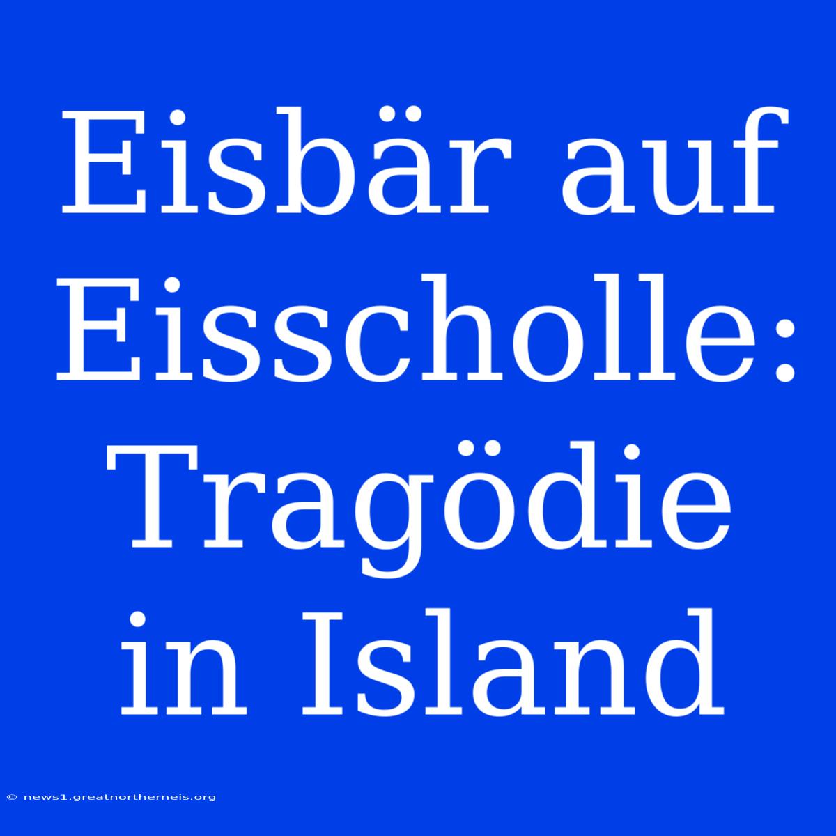 Eisbär Auf Eisscholle: Tragödie In Island