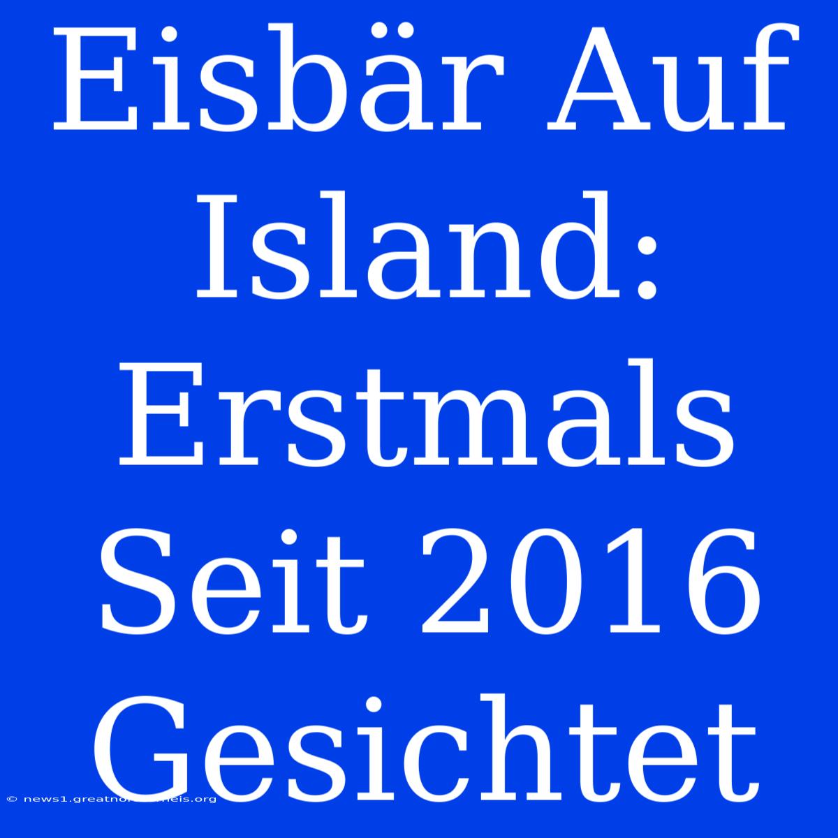 Eisbär Auf Island: Erstmals Seit 2016 Gesichtet