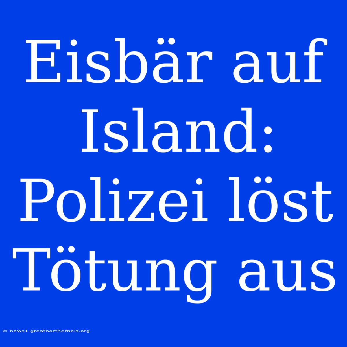 Eisbär Auf Island: Polizei Löst Tötung Aus