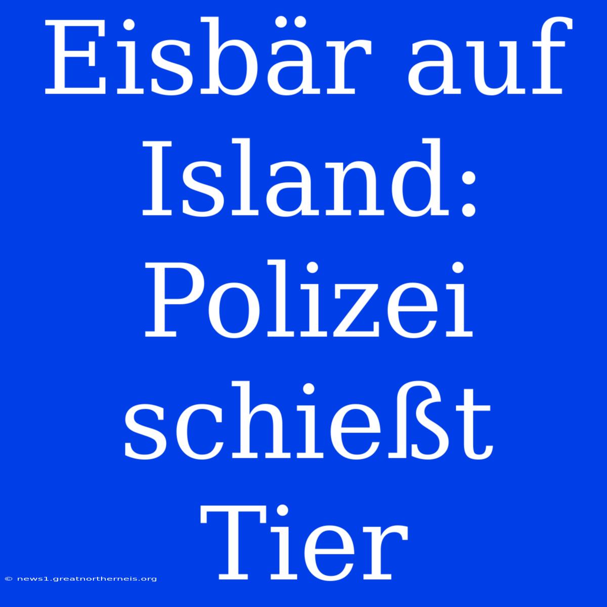 Eisbär Auf Island: Polizei Schießt Tier