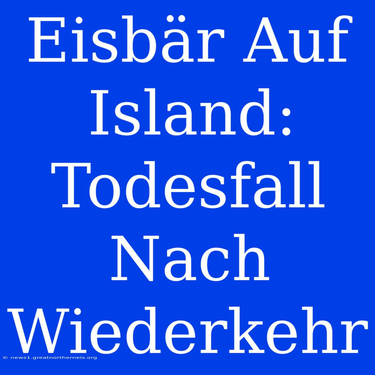 Eisbär Auf Island: Todesfall Nach Wiederkehr