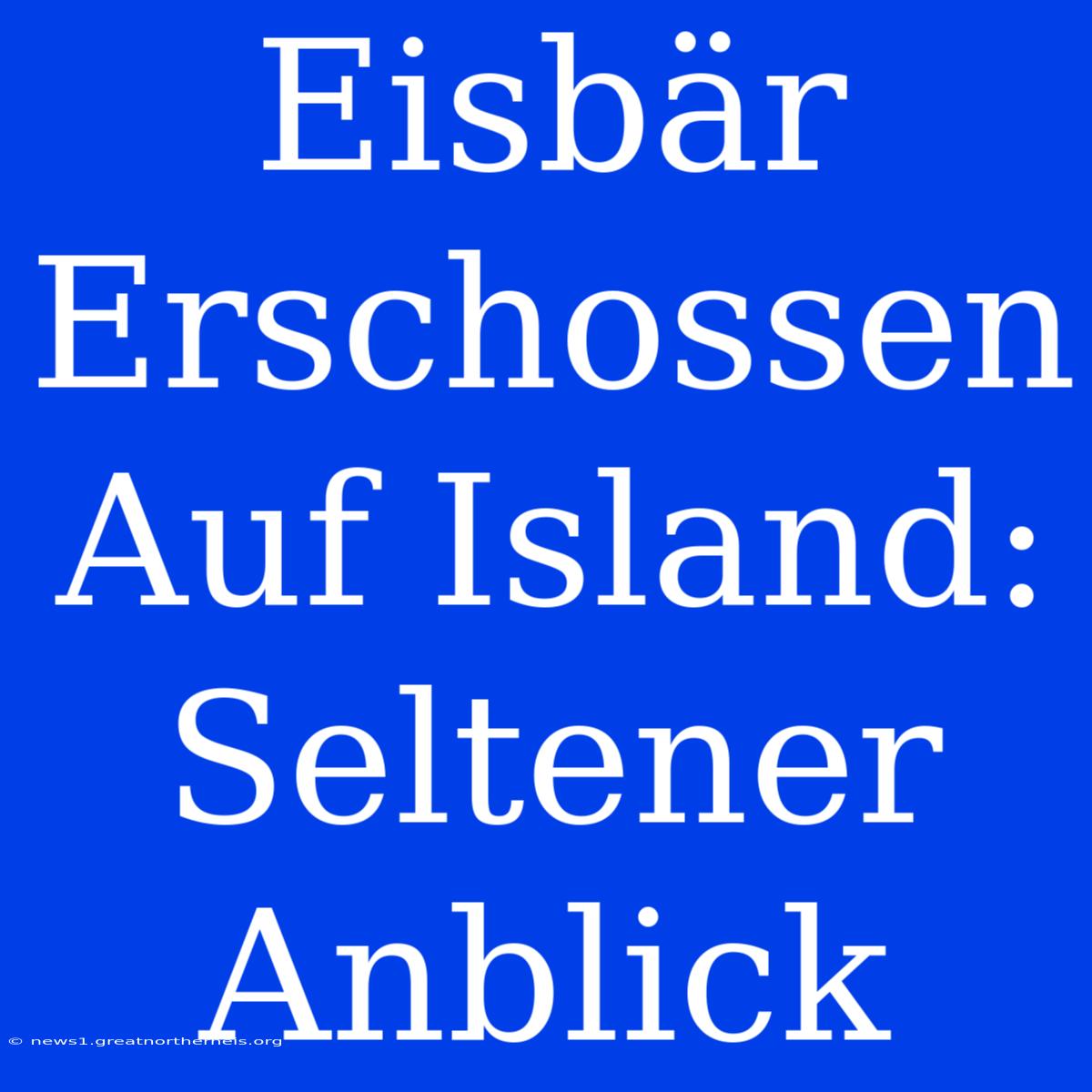 Eisbär Erschossen Auf Island: Seltener Anblick