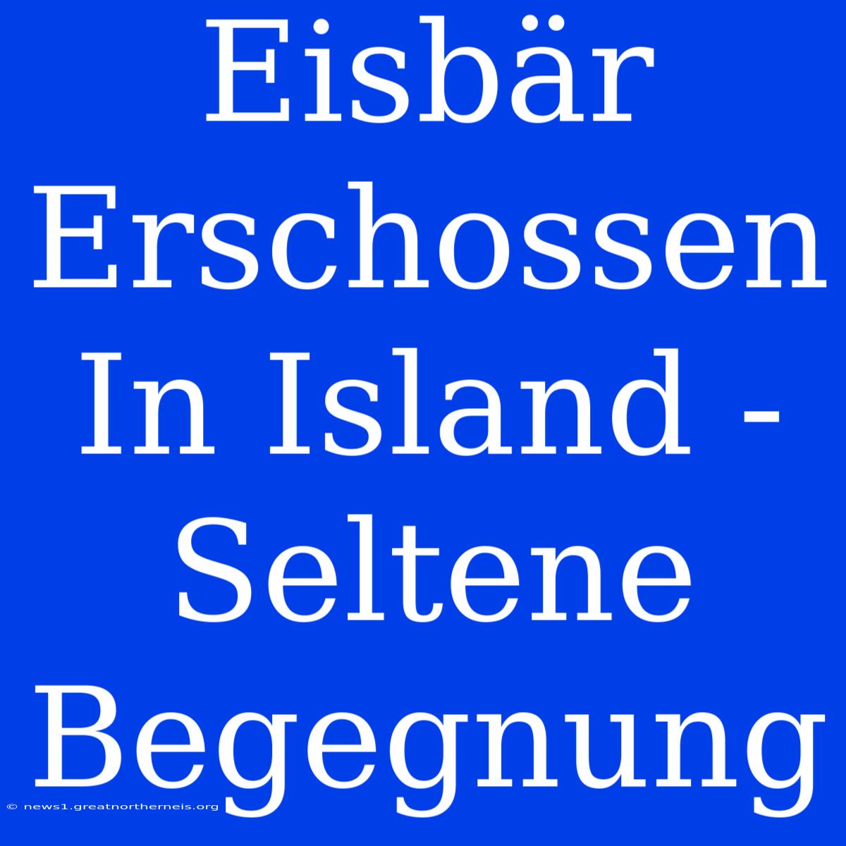 Eisbär Erschossen In Island - Seltene Begegnung