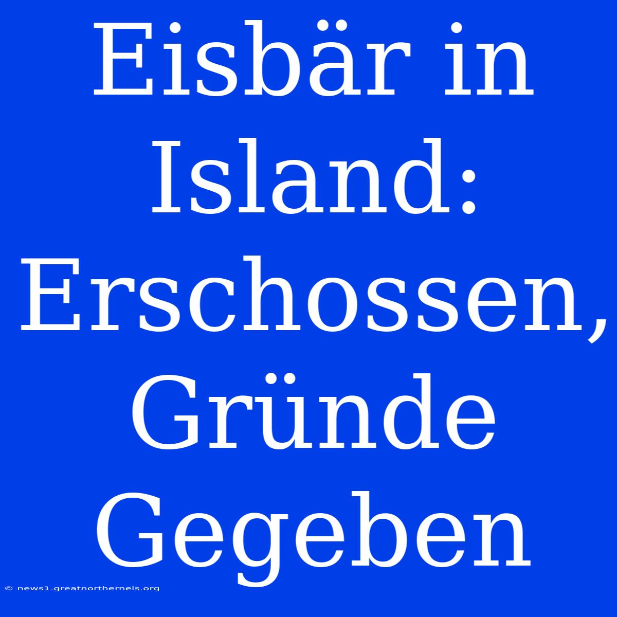 Eisbär In Island: Erschossen, Gründe Gegeben