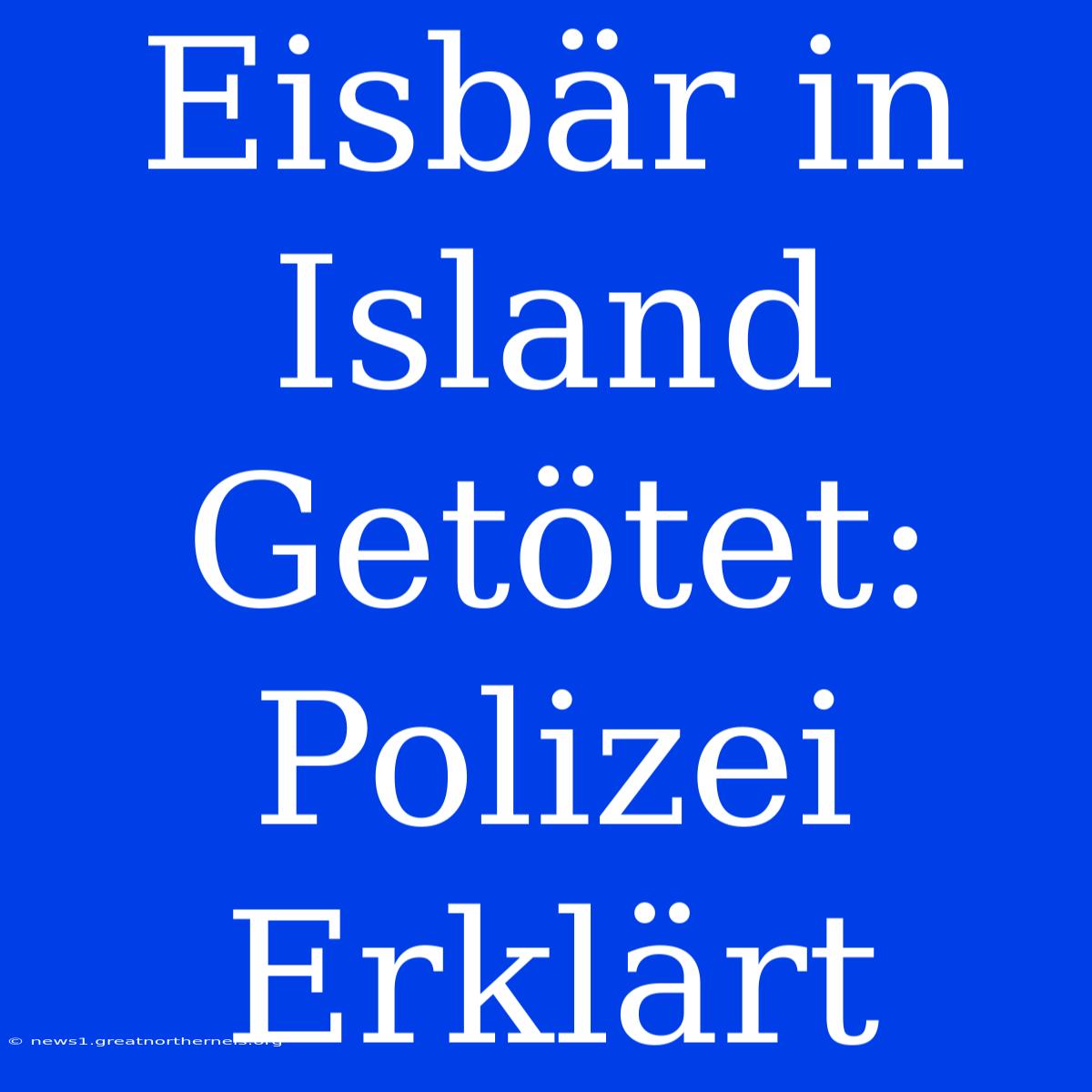 Eisbär In Island Getötet: Polizei Erklärt