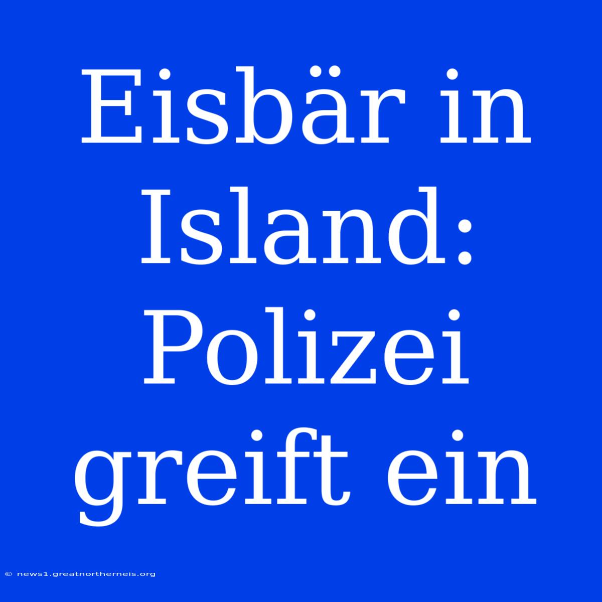 Eisbär In Island: Polizei Greift Ein