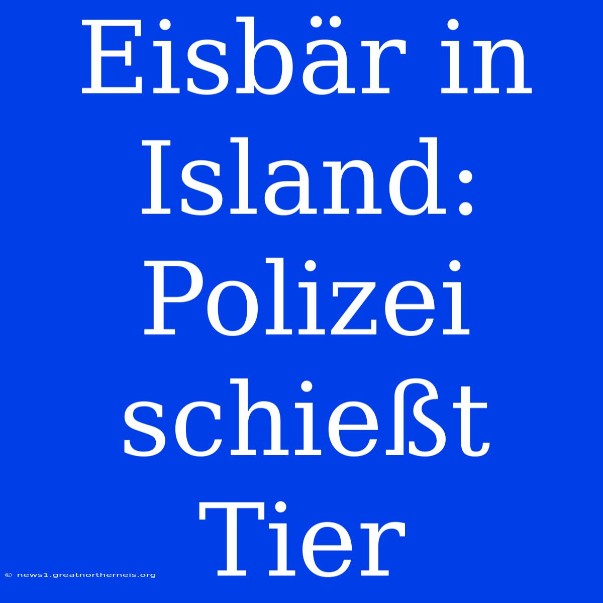 Eisbär In Island: Polizei Schießt Tier