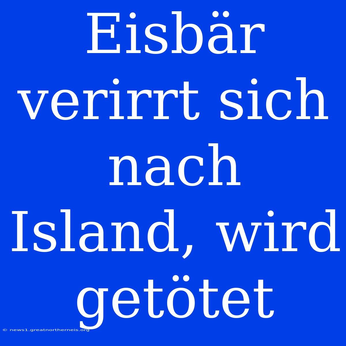 Eisbär Verirrt Sich Nach Island, Wird Getötet