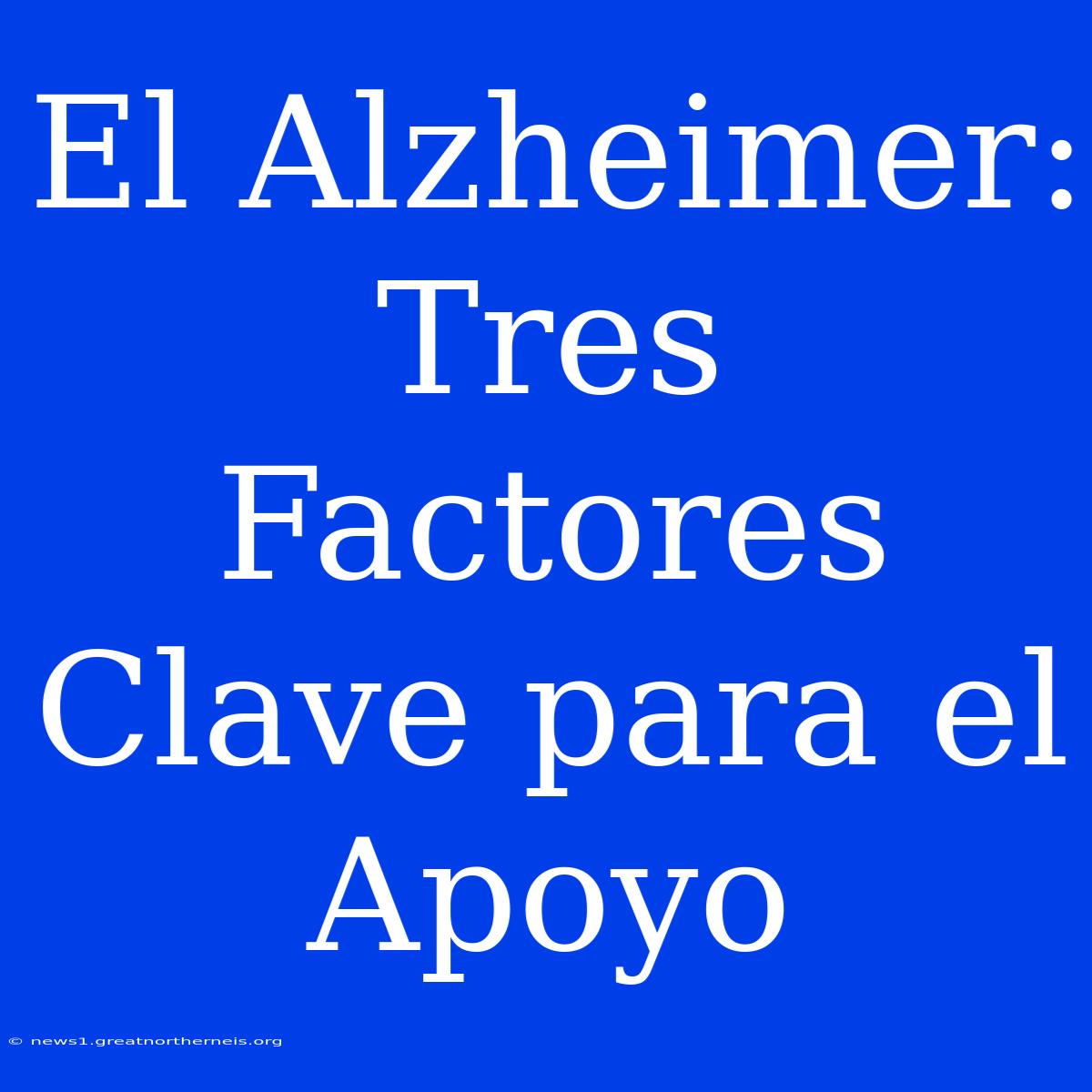 El Alzheimer: Tres Factores Clave Para El Apoyo