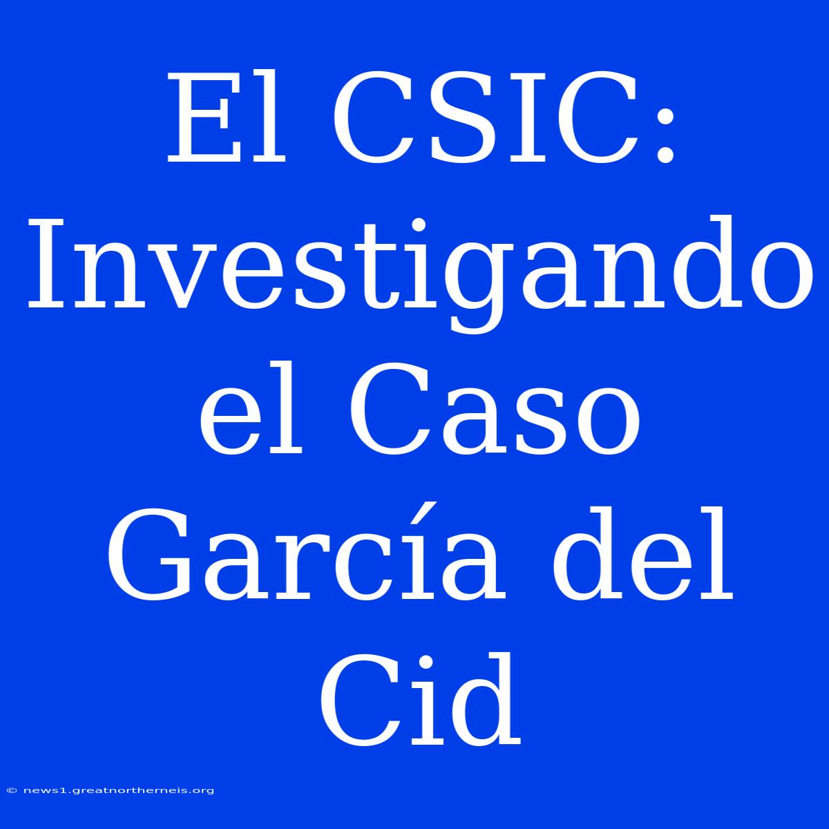 El CSIC: Investigando El Caso García Del Cid