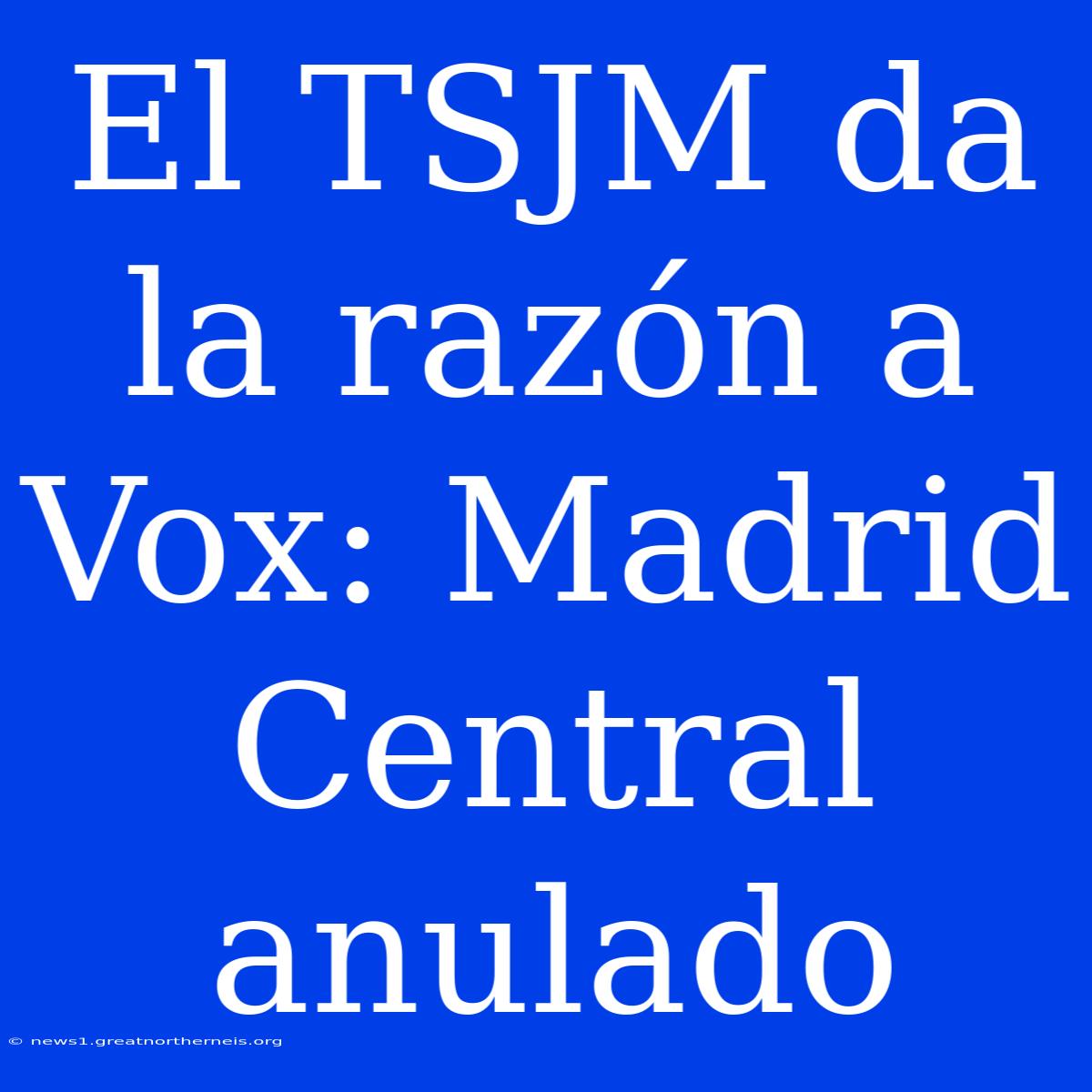 El TSJM Da La Razón A Vox: Madrid Central Anulado