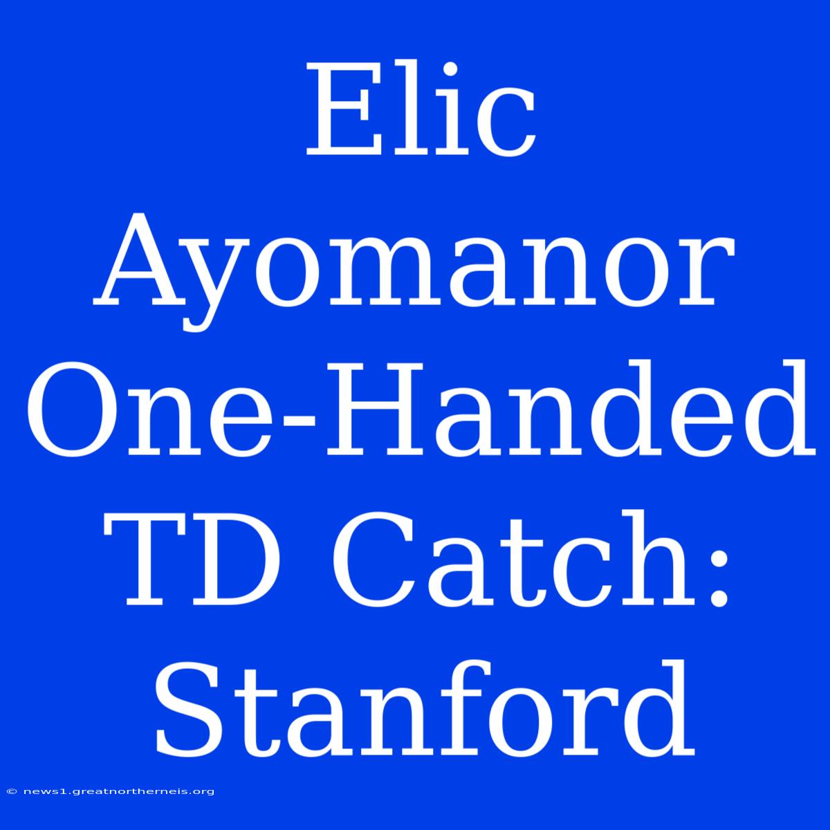 Elic Ayomanor One-Handed TD Catch: Stanford