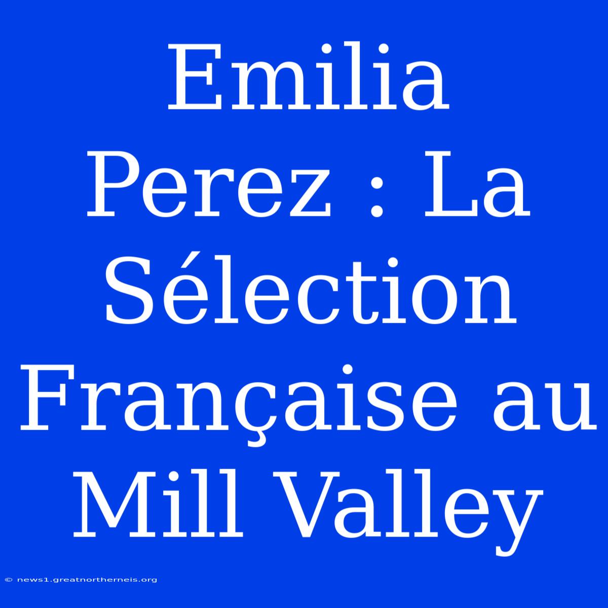 Emilia Perez : La Sélection Française Au Mill Valley