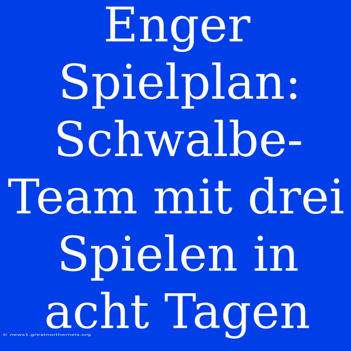 Enger Spielplan: Schwalbe-Team Mit Drei Spielen In Acht Tagen