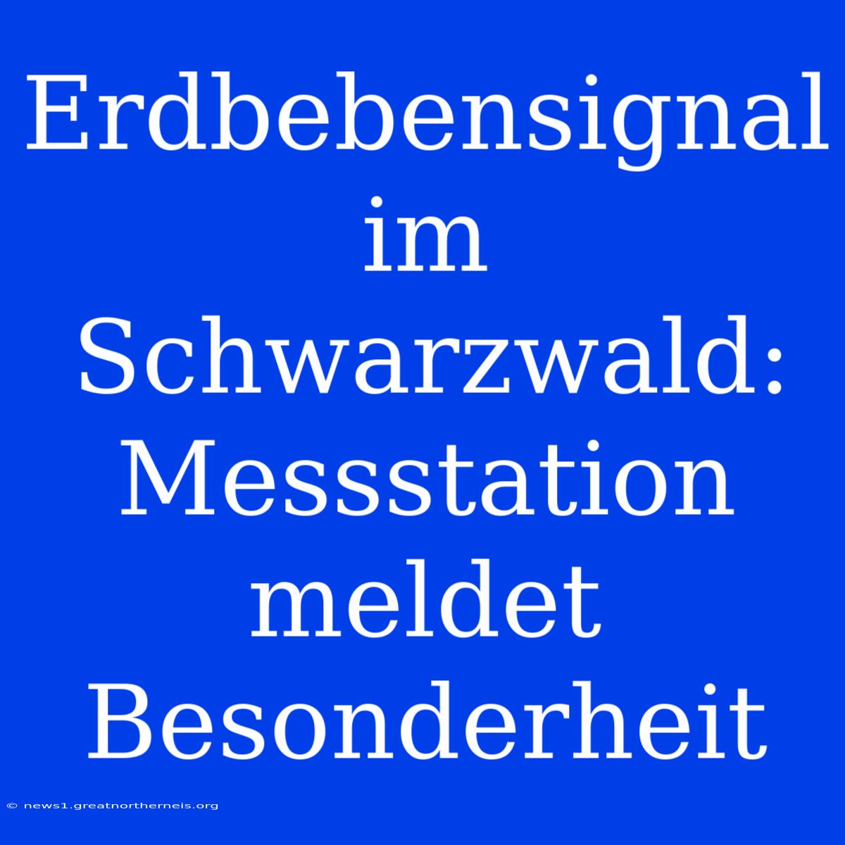 Erdbebensignal Im Schwarzwald: Messstation Meldet Besonderheit