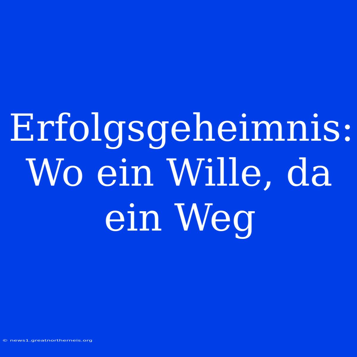 Erfolgsgeheimnis: Wo Ein Wille, Da Ein Weg