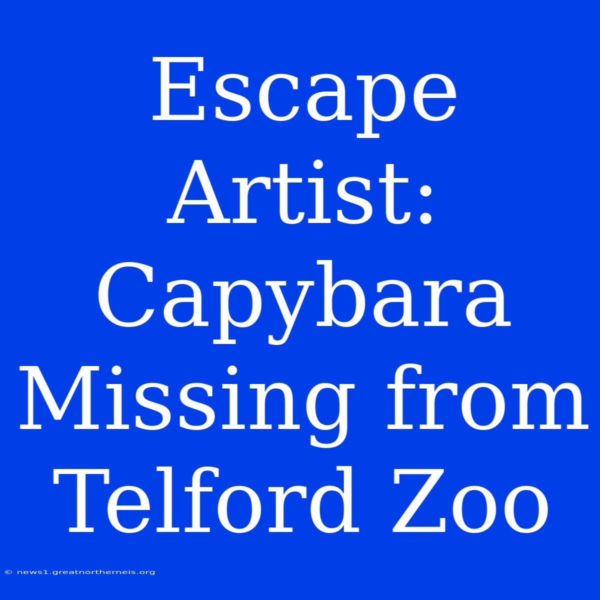 Escape Artist: Capybara Missing From Telford Zoo