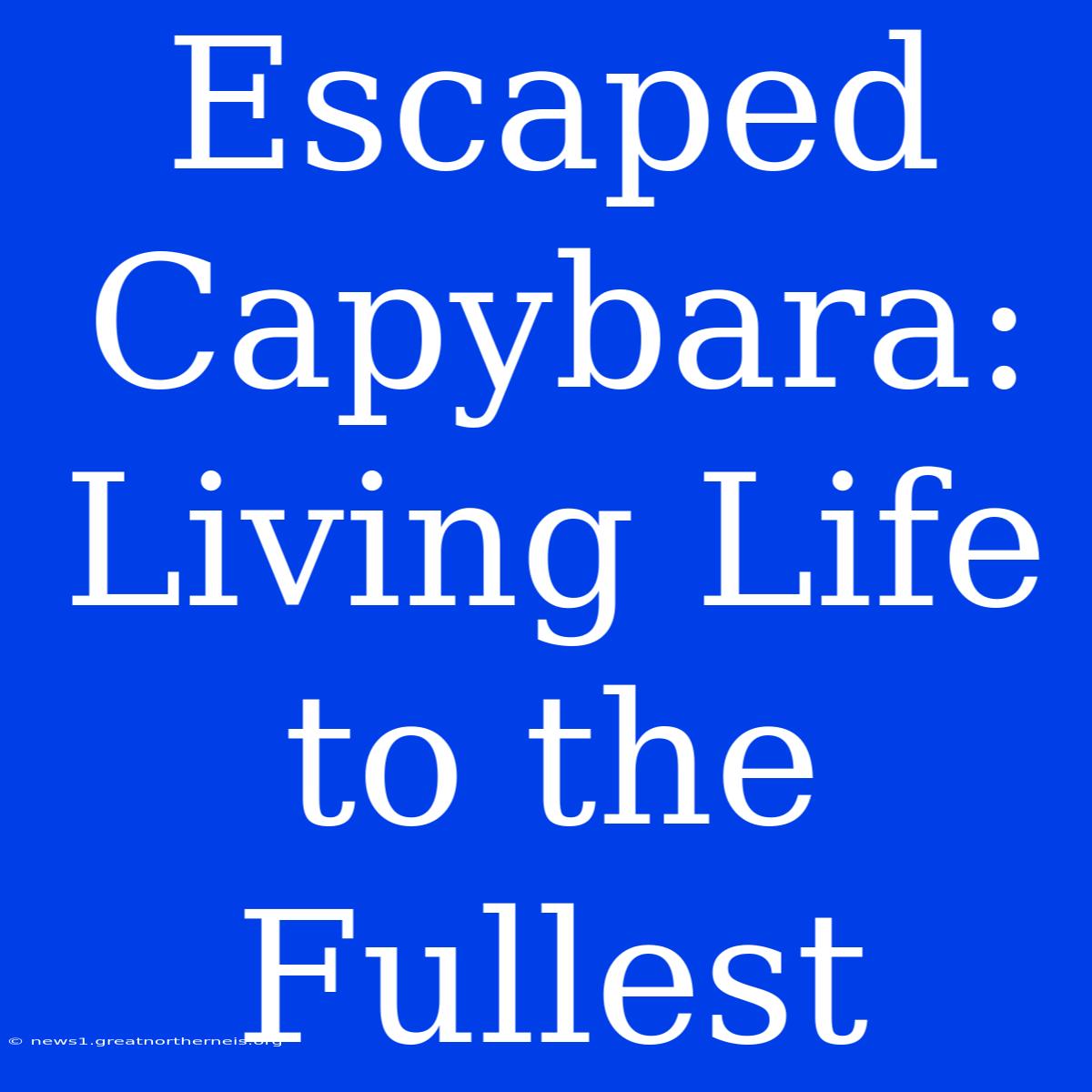 Escaped Capybara: Living Life To The Fullest