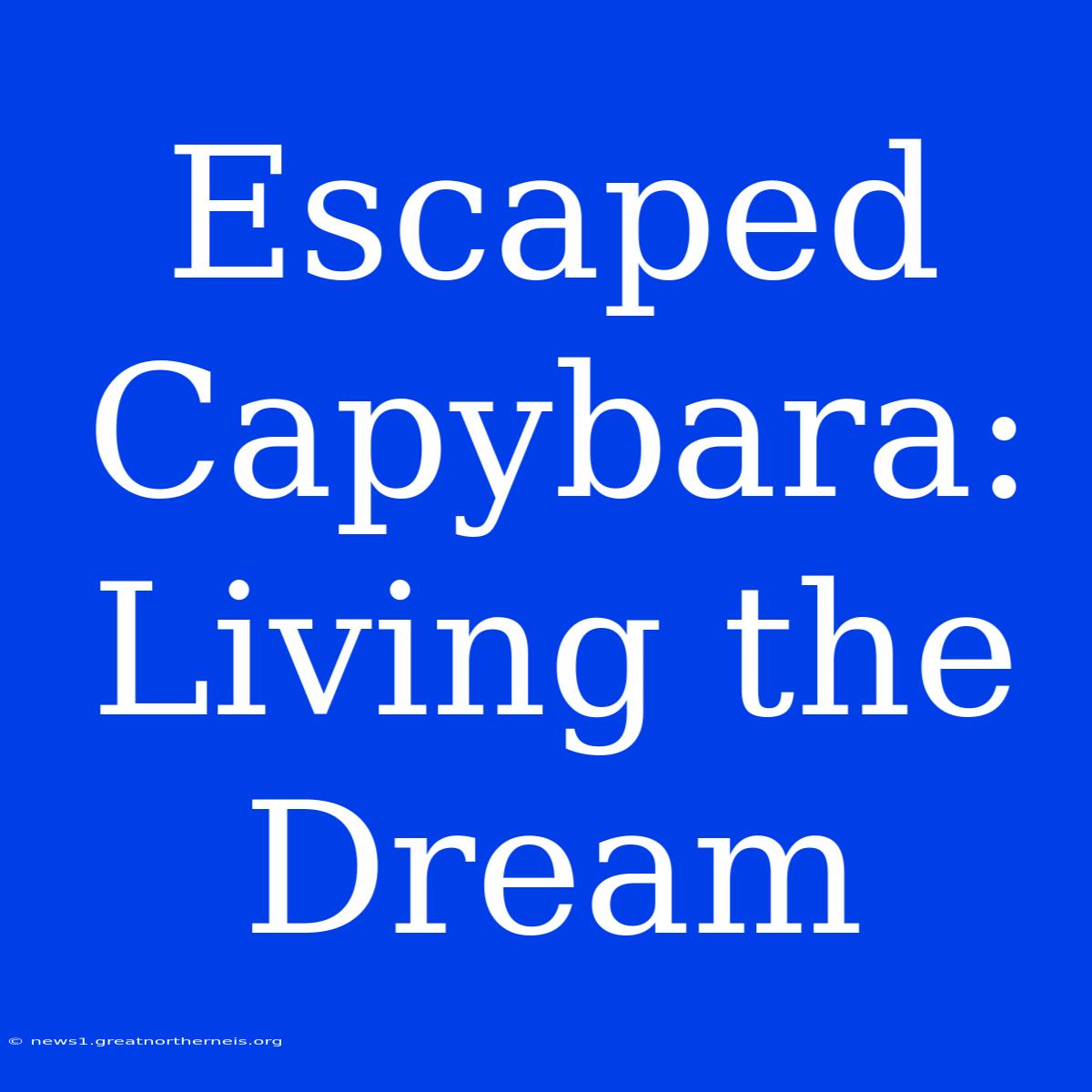 Escaped Capybara:  Living The Dream