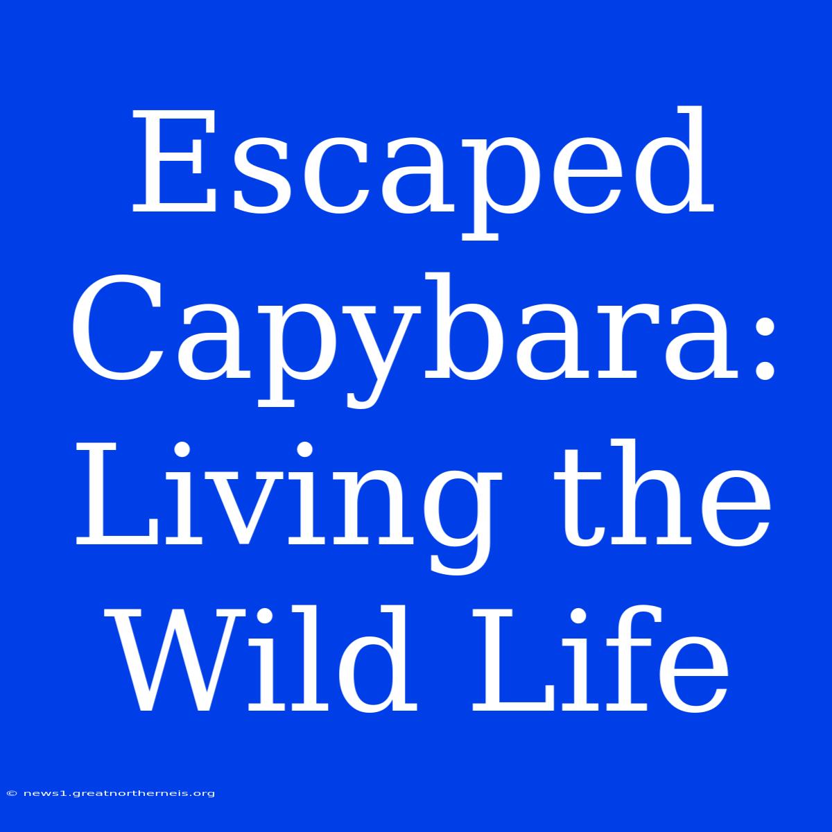 Escaped Capybara: Living The Wild Life