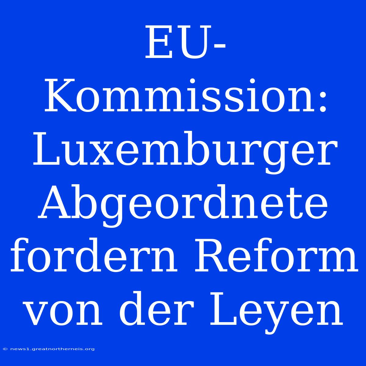 EU-Kommission: Luxemburger Abgeordnete Fordern Reform Von Der Leyen