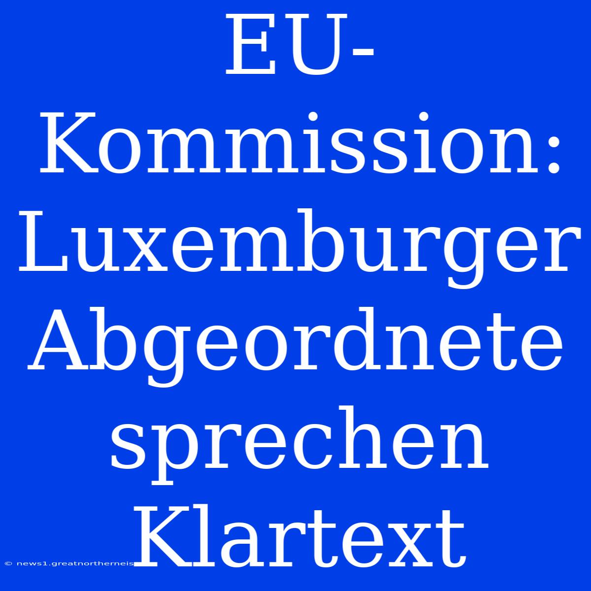 EU-Kommission: Luxemburger Abgeordnete Sprechen Klartext