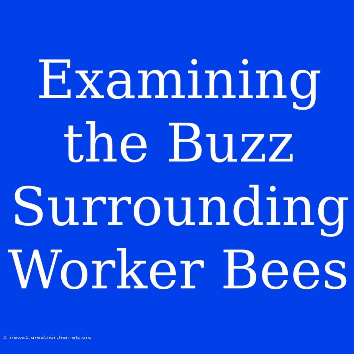 Examining The Buzz Surrounding Worker Bees