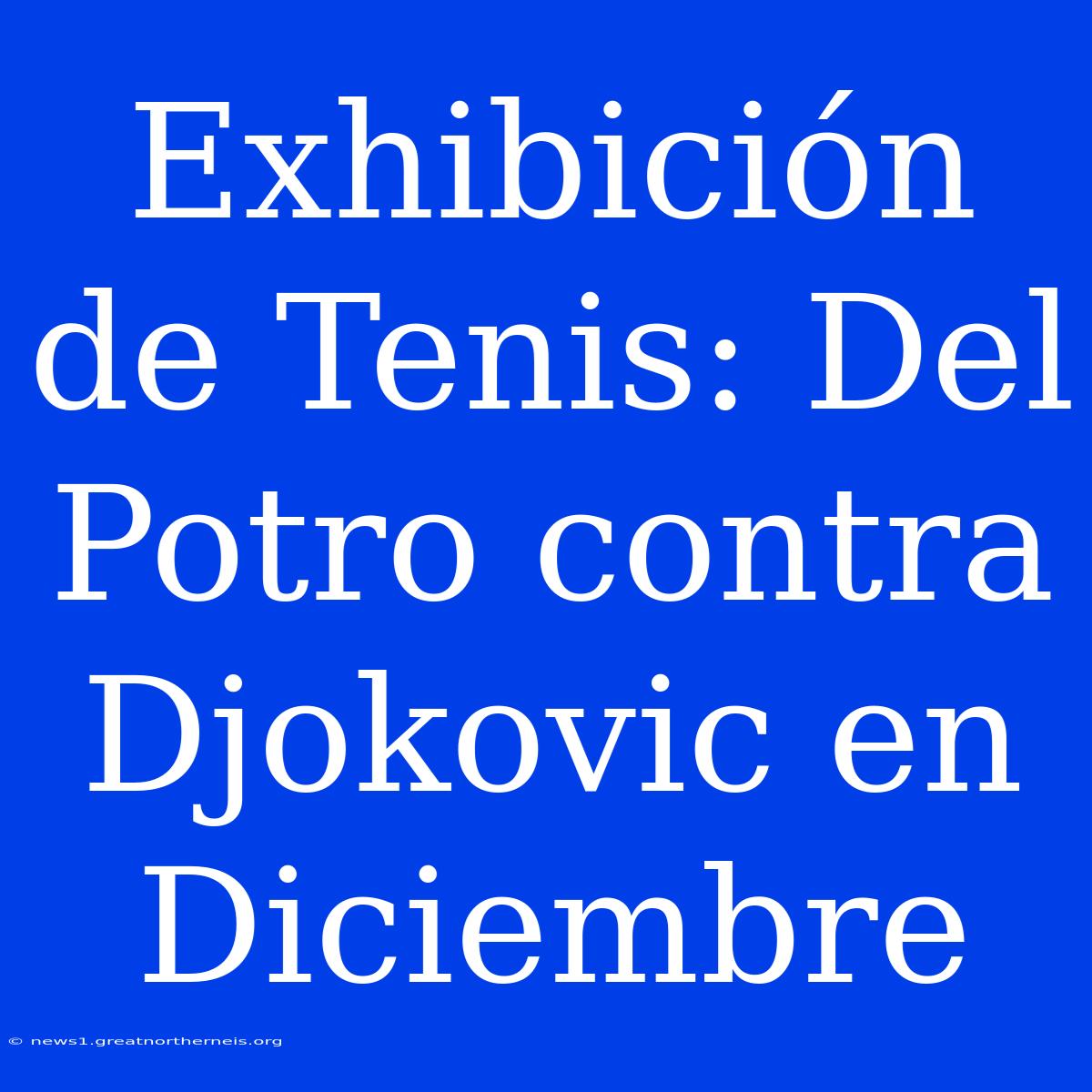 Exhibición De Tenis: Del Potro Contra Djokovic En Diciembre